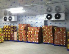 冷庫安裝設(shè)計(jì)需要注意的問題