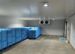 冷庫設(shè)計的基本框架