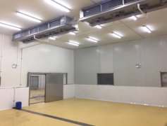 影響冷庫(kù)建造價(jià)格的因素有哪些